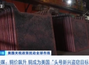 美国犯罪分子，疯狂偷铜